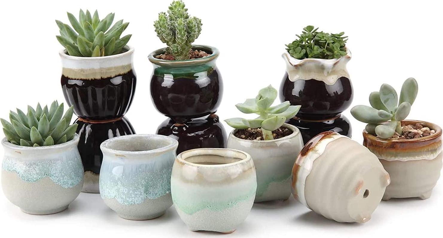 ZOUTOG 12 Pack Succulent Pots, 2.6 Inch Mini Ceramic Pots for Flower or  Cactus with Drainage Hole, Small Pots for Plants, Plants Not Included