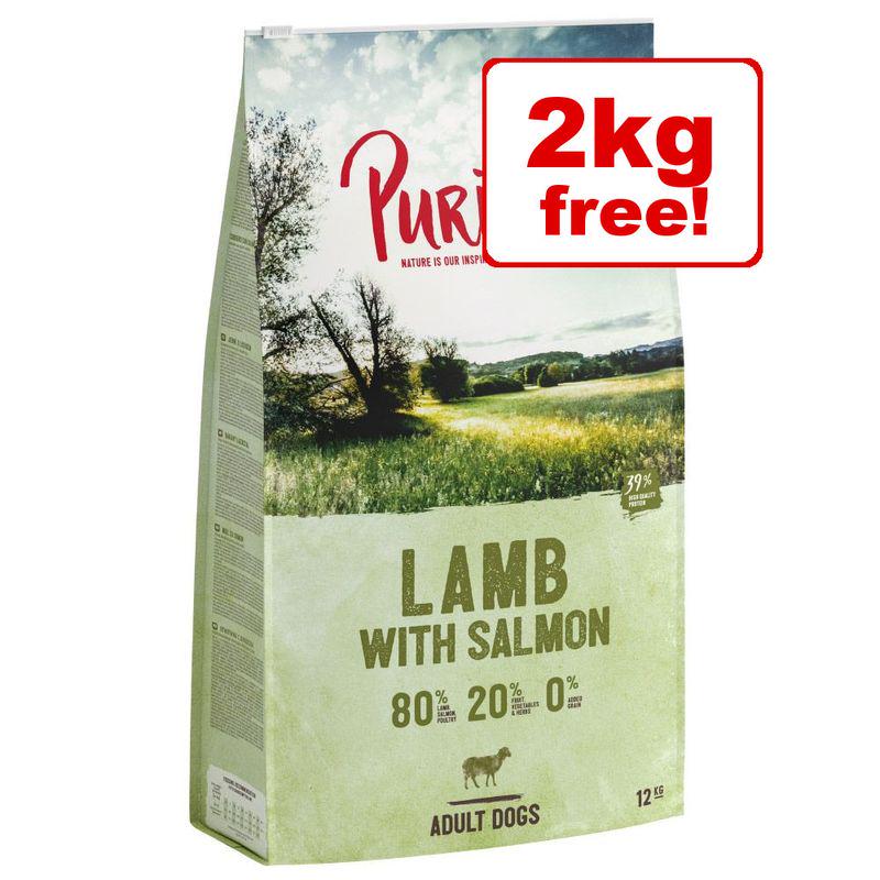 Best Salmon And Lamb Dry Dog Food