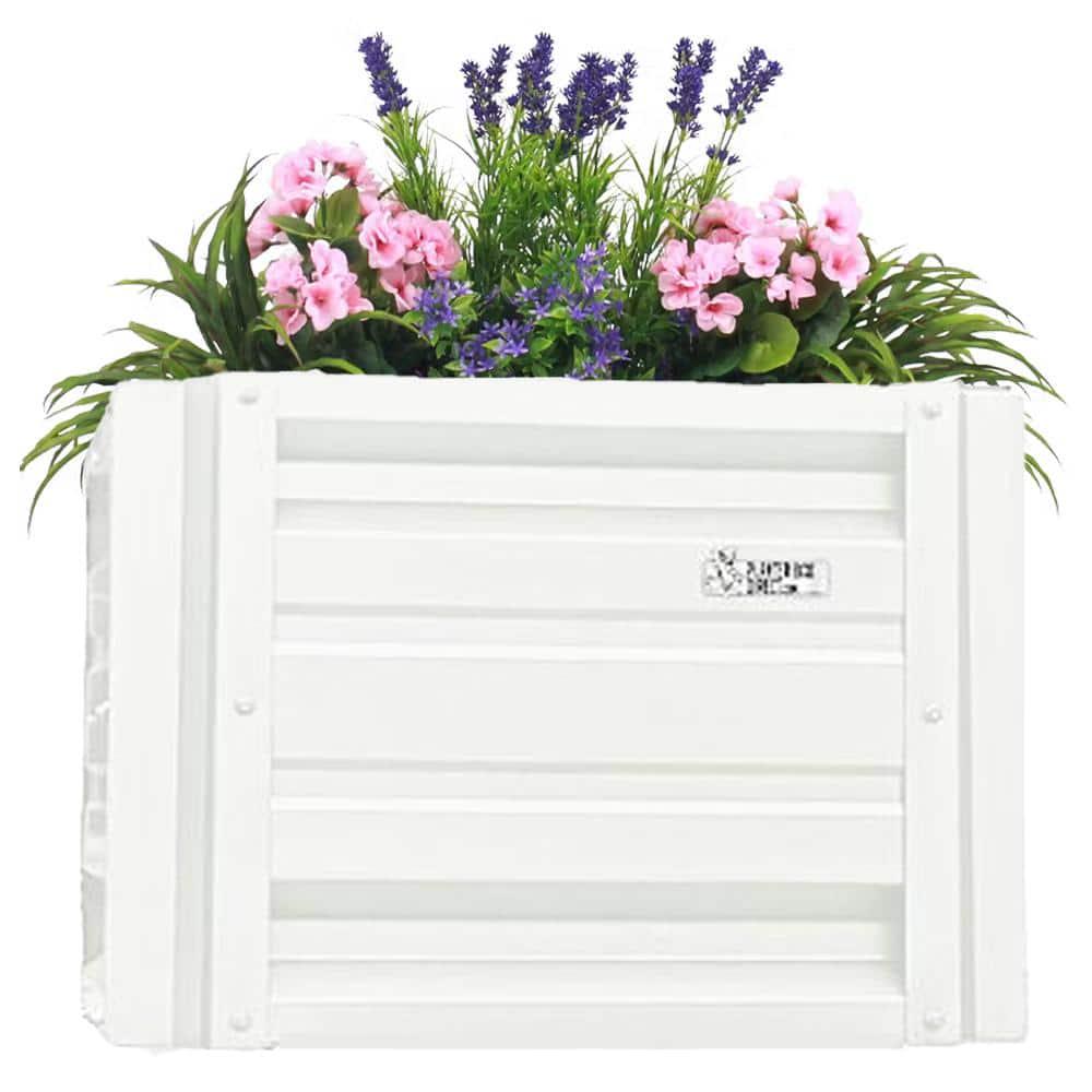 plants mania　THE SIDE UP BOX Grow Zz Plant from Leaves Very Easy Method - YouTube