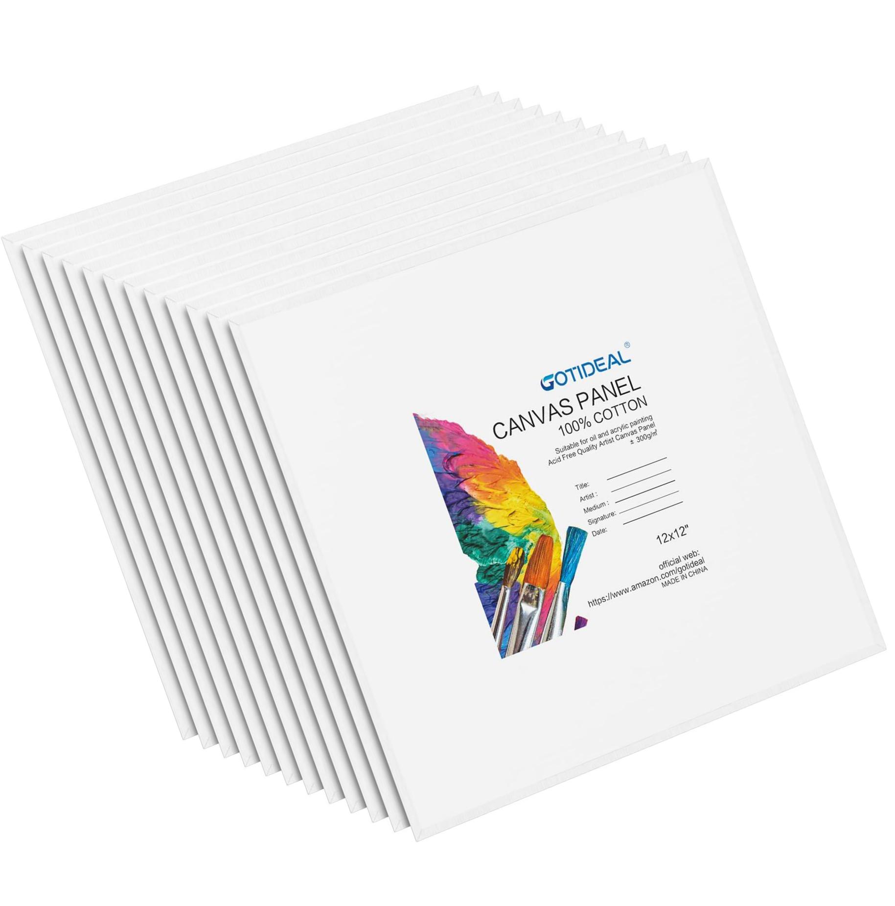 GOTIDEAL Canvas Boards 8x10 Inch Set Of 10 Gesso Primed White Blank Canvases